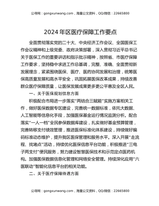 2024年区医疗保障工作要点