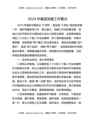2024年基层党建工作要点