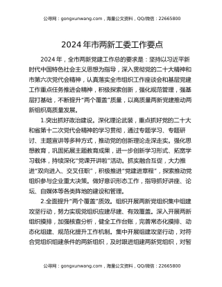 2024年市两新工委工作要点