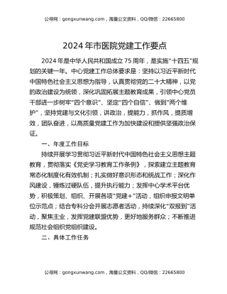 2024年市医院党建工作要点