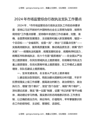 2024年市场监管综合行政执法支队工作要点