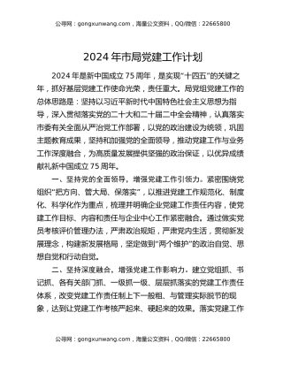 2024年市局党建工作计划