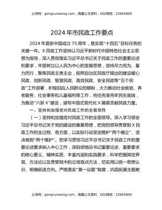 2024年市民政工作要点