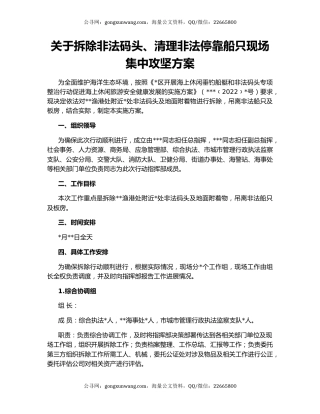 关于拆除非法码头、清理非法停靠船只现场集中攻坚方案