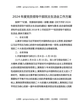2024年度党员领导干部民主生活会工作方案