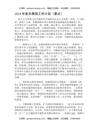 2024年度共青团工作计划（要点）