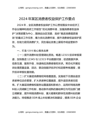 2024年某区消费者权益保护工作要点