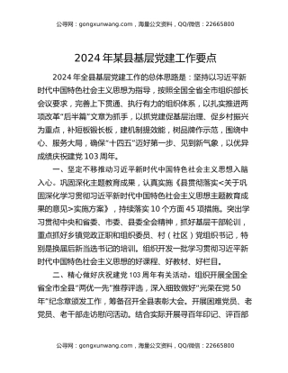 2024年某县基层党建工作要点