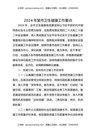 2024年某市卫生健康工作要点