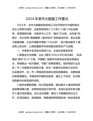 2024年某市大数据工作要点
