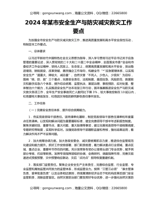 2024年某市安全生产与防灾减灾救灾工作要点