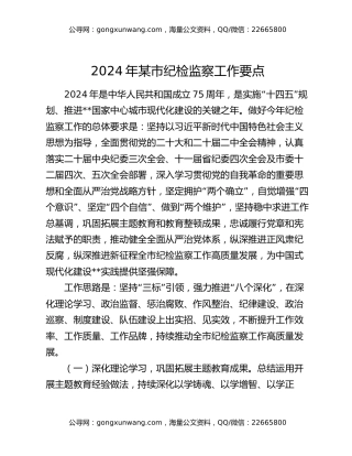 2024年某市纪检监察工作要点