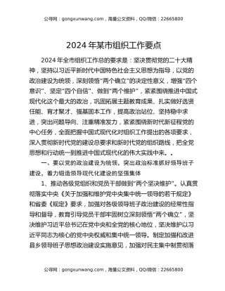 2024年某市组织工作要点