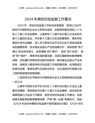 2024年高校纪检监察工作要点