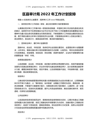 区县审计局2022年工作计划安排