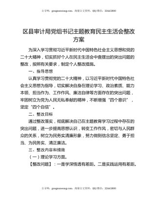 区县审计局党组书记主题教育民主生活会整改方案