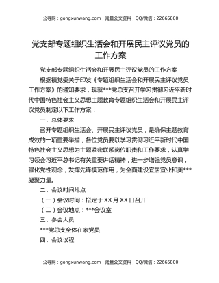 党支部专题组织生活会和开展民主评议党员的工作方案