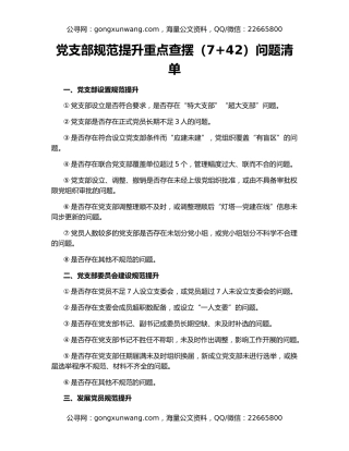 党支部规范提升重点查摆（7+42）问题清单