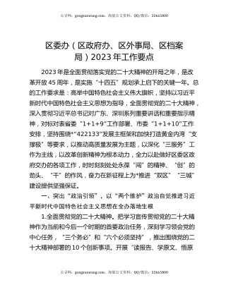 区委办（区政府办、区外事局、区档案局）2023年工作要点