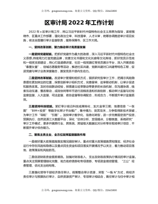 区审计局2022年工作计划