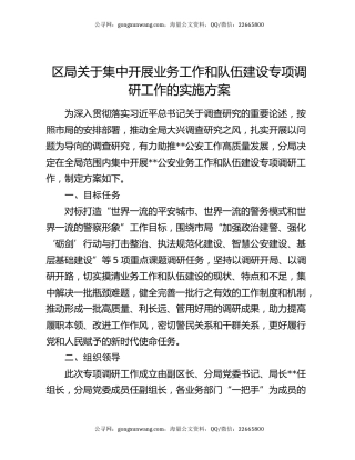 区局关于集中开展业务工作和队伍建设专项调研工作的实施方案