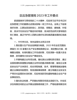 区应急管理局2023年工作要点