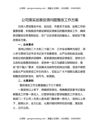公司落实巡察反馈问题整改工作方案