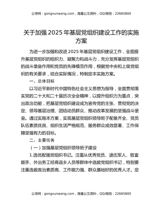 关于加强2025年基层党组织建设工作的实施方案