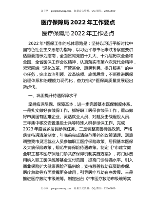 医疗保障局2022年工作要点