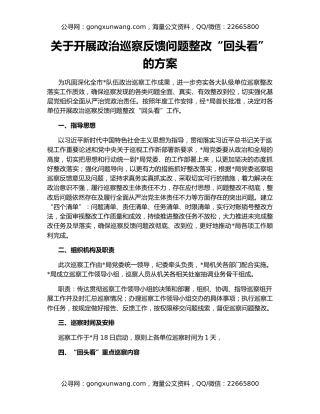 关于开展政治巡察反馈问题整改“回头看”的方案
