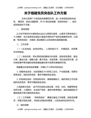 关于组建党员突击队工作方案