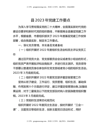 县2023年党建工作要点