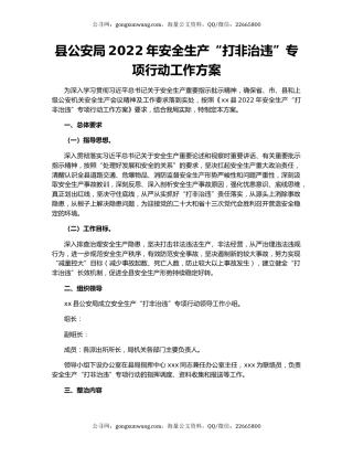 县公安局2022年安全生产“打非治违”专项行动工作方案