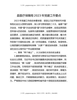 县医疗保障局2023年党建工作要点