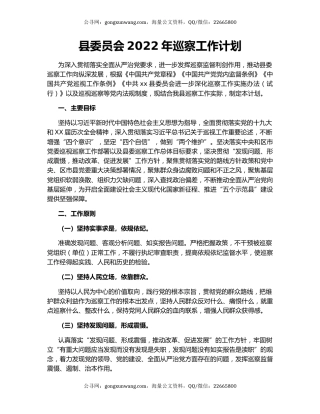 县委员会2022年巡察工作计划