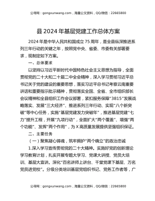 县2024年基层党建工作总体方案