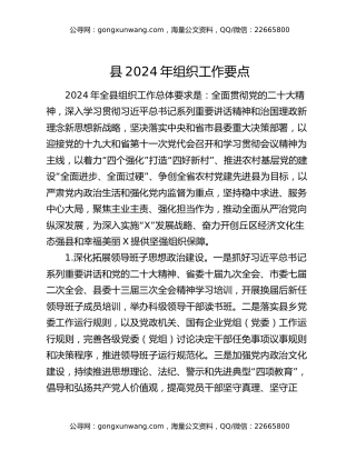 县2024年组织工作要点