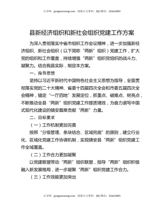 县新经济组织和新社会组织党建工作方案