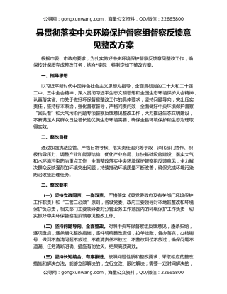 县贯彻落实中央环境保护督察组督察反馈意见整改方案