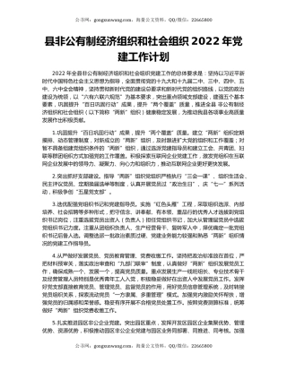 县非公有制经济组织和社会组织2022年党建工作计划