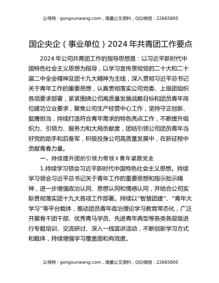 国企央企（事业单位）2024年共青团工作要点