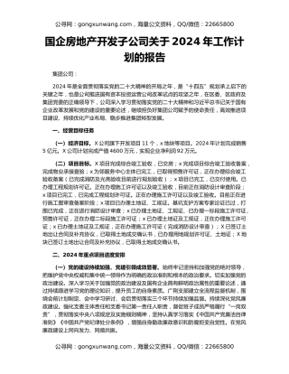 国企房地产开发子公司关于2024年工作计划的报告