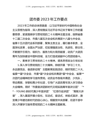 团市委2023年工作要点
