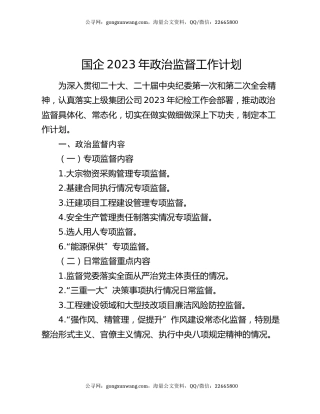 国企2023年政治监督工作计划