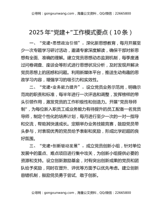 2025 年“党建+”工作模式要点（10条）