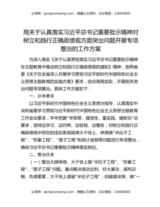 局关于认真落实习近平总书记重要批示精神对树立和践行正确政绩观方面突出问题开展专项整治的工作方案