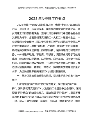 2025年乡党建工作要点