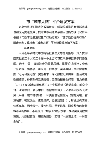 市“城市大脑”平台建设方案