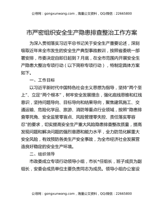 市严密组织安全生产隐患排查整治工作方案