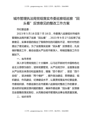 城市管理执法局党组落实市委巡察组巡察“回头看”反馈意见的整改工作方案